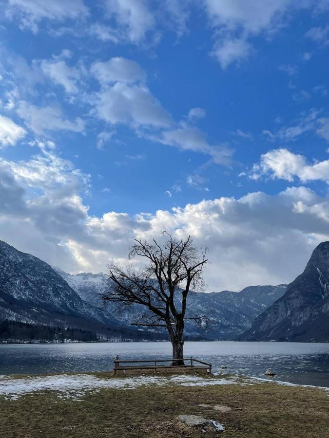 Remarkable Home Bohinj Lake Exteriör bild